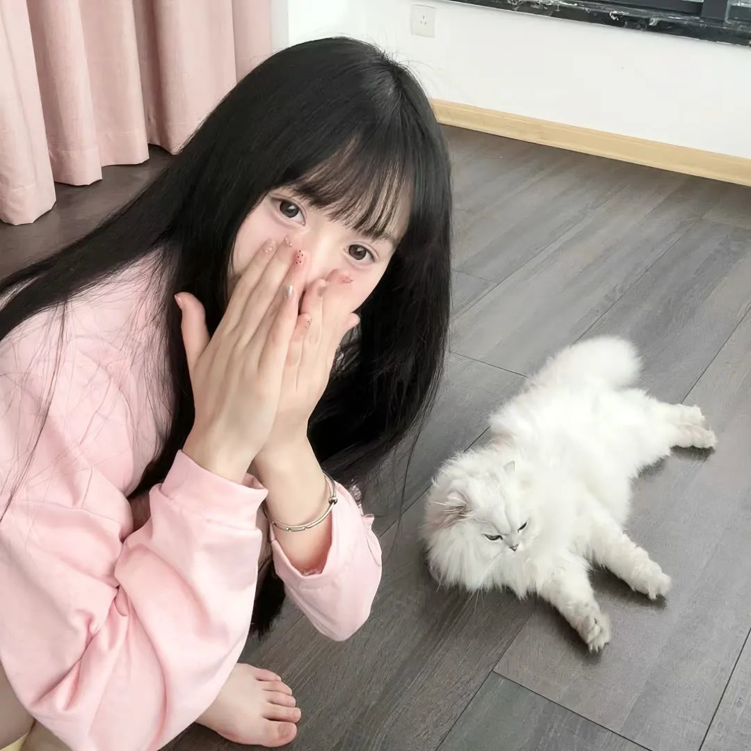 离散与恒留 在线观看